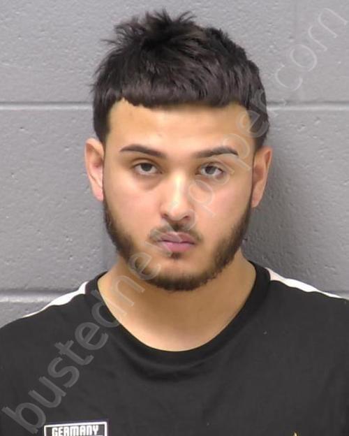 BEZARES, ADRIANO M #, Will County, Illinois - 2025-01-23 05:40:00