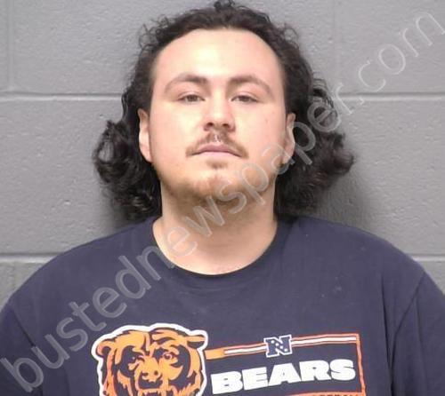 CASTILLO, MARTIN JUNIOR #, Will County, Illinois - 2025-01-23 10:17:00