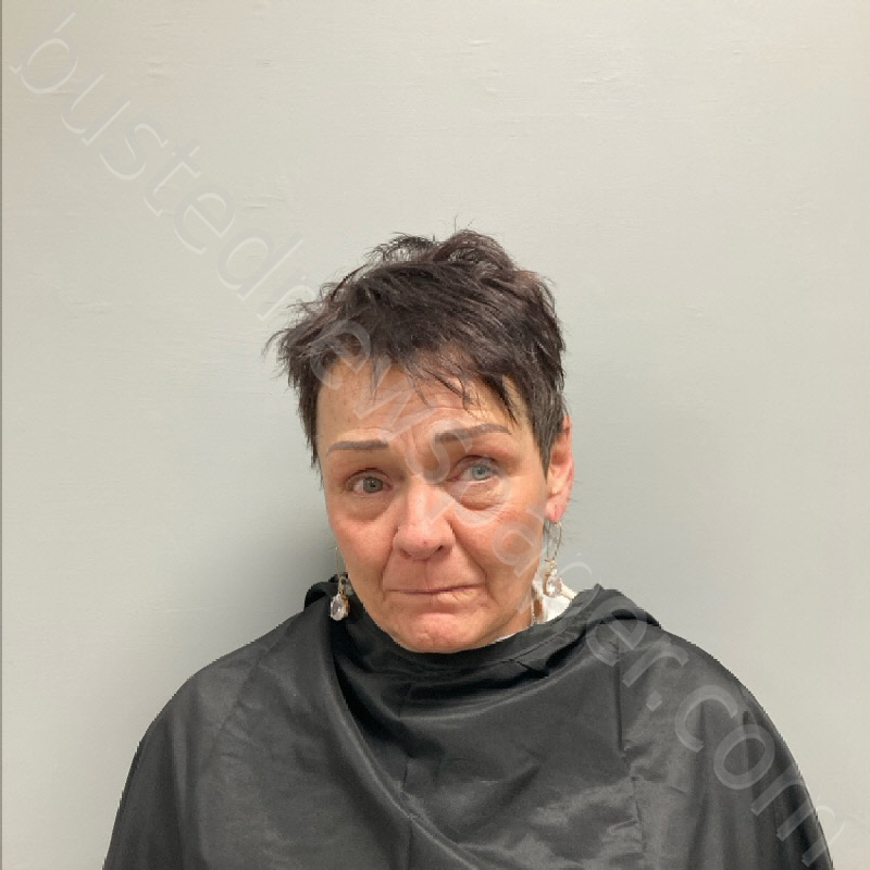 CYNTHIA LEIGH COLE #, Henry County, Virginia - 2025-01-23 20:41:00