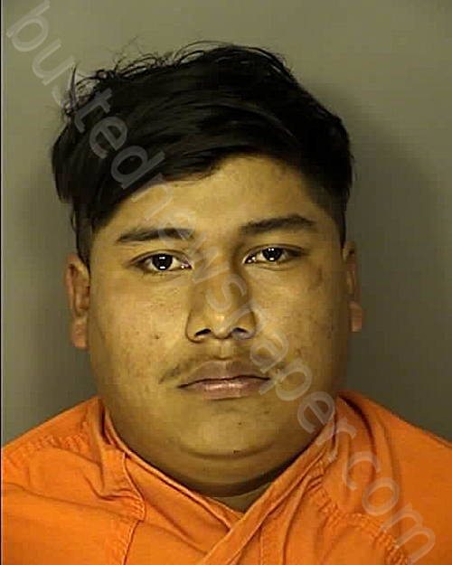 MIGUEL, FELIPE DIAZ #, Horry County, South Carolina - 2025-01-24 18:05:00