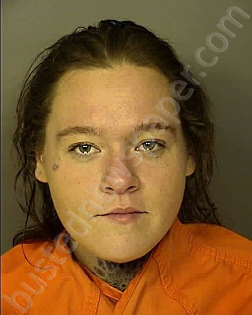 MAPLES, MERANDA GRAY #, Horry County, South Carolina - 2025-01-24 20:30:00