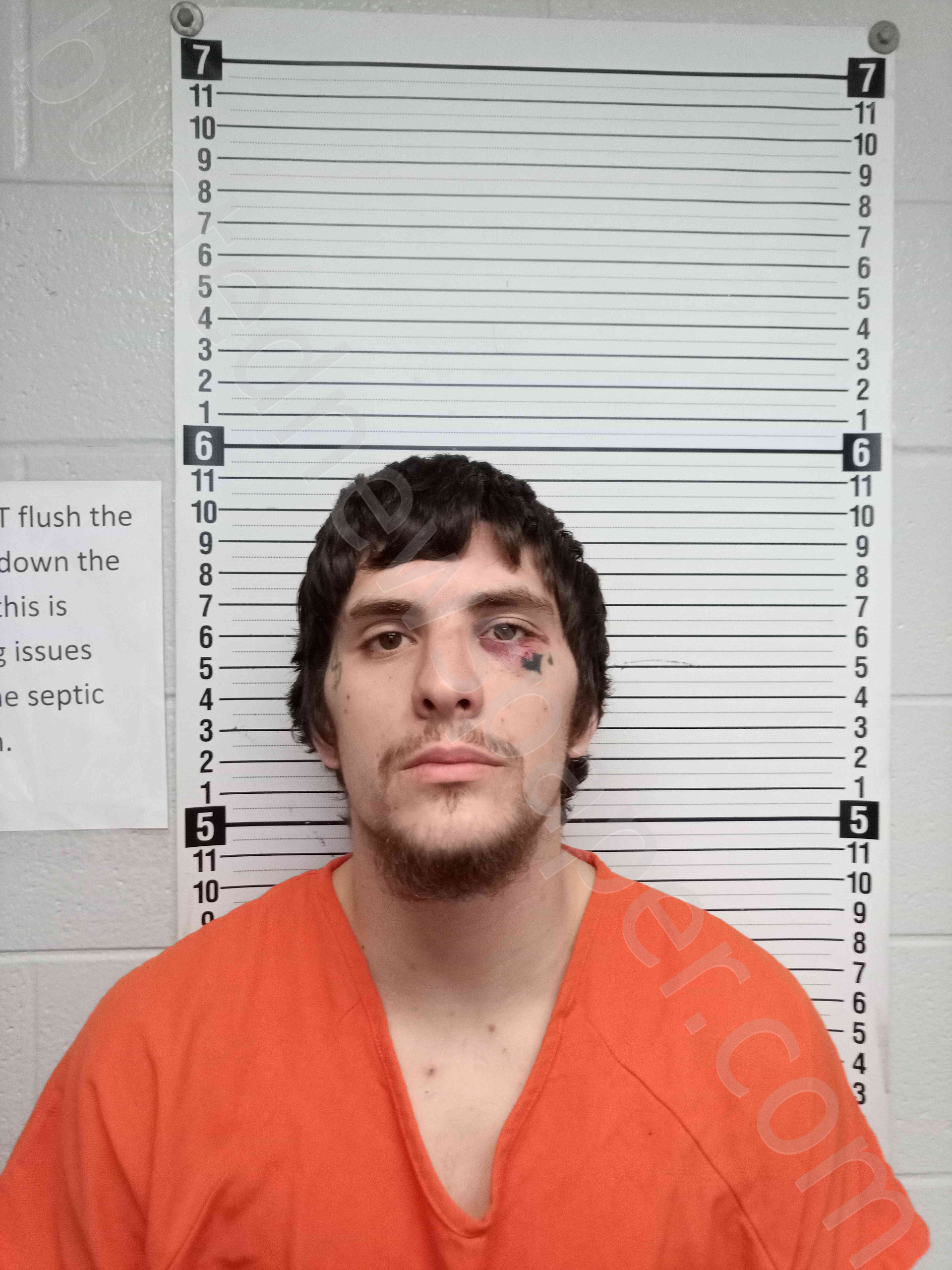 JETT, DANIEL #, Wayne County, Kentucky - 2025-01-24
