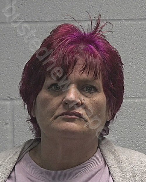 AYERS, CHRISTIE DAWN #, Cleveland County, North Carolina - 2025-01-25 23:33:00