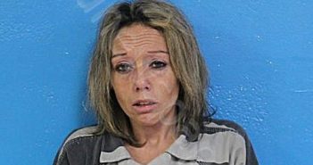 <B>NEAL</B>, <B>CHRISTINE</B> <B>NICH0LE</B> #, Sullivan County, Tennessee - 2025-01-25 21:58:00