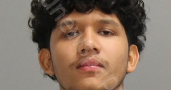 ALVARADO <B>RAMIREZ</B>, <B>JUAN</B> <B>CARLOS</B> #, Brazos County, Texas - 2025-01-26