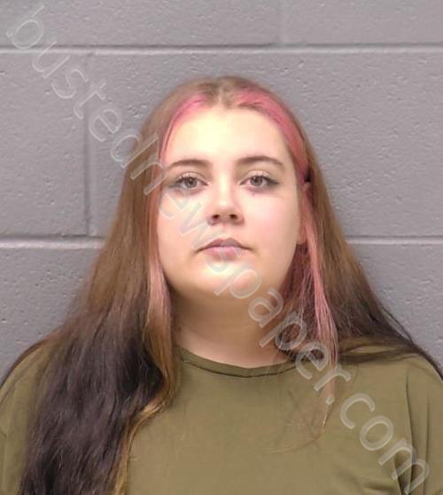 HIXSON, BRIANNA L #, Will County, Illinois - 2025-01-26 23:13:00