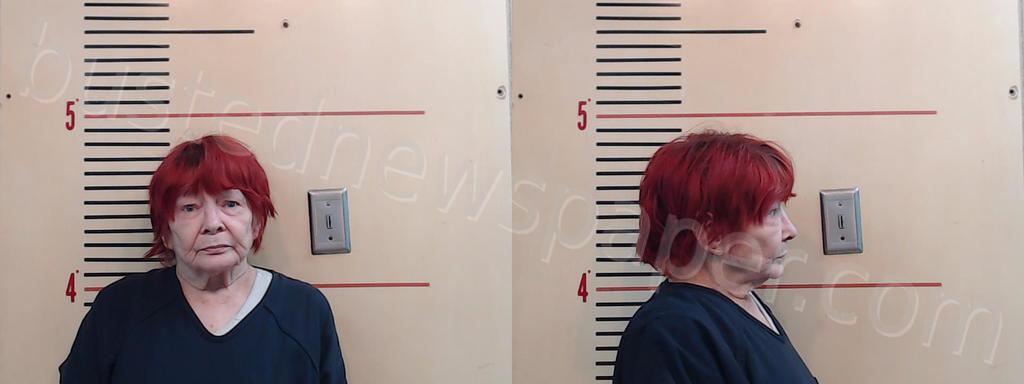 HARBISON, LINDA RICHARDSON #, Parker County, Texas - 2025-01-27