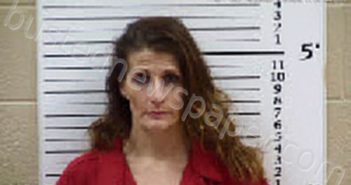 BRYSON, SAVANNAH MARIE | 2025-01-27 12:39:00 Cherokee County, North Carolina Booking