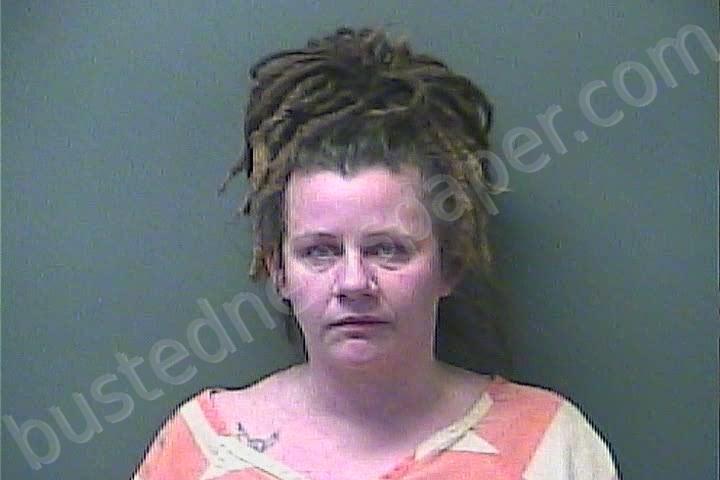 ETHERIDGE, TIFFANY #, Laporte County, Indiana, La Porte County, Indiana - 2025-01-27 02:44:00