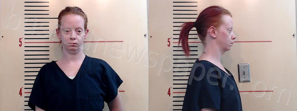 BUTLER, ALICIA JAYMES #, Parker County, Texas - 2025-01-27