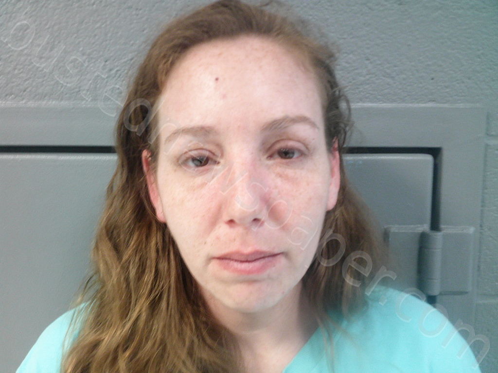 COOK, MEGAN ELIZABETH #, Tucker County, West Virginia - 2025-01-27 15:00:00