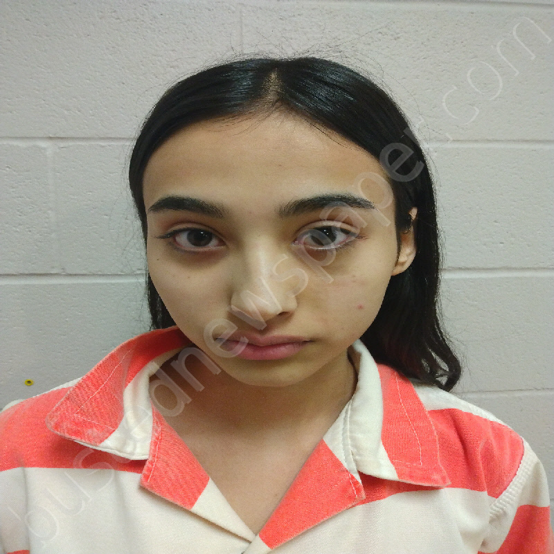 LOPEZ, IRLANDA NOEMI #, Brown County, Texas - 2025-01-28 17:09:00