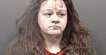 MULLINS, MEGAN MARIE | 2025-01-28 09:00:00 Rowan County, North Carolina Booking