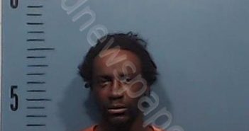 <B>SANCHEZ</B>, <B>JERMANE</B> <B>SHARON</B> #, Taylor County, Texas - 2025-01-28