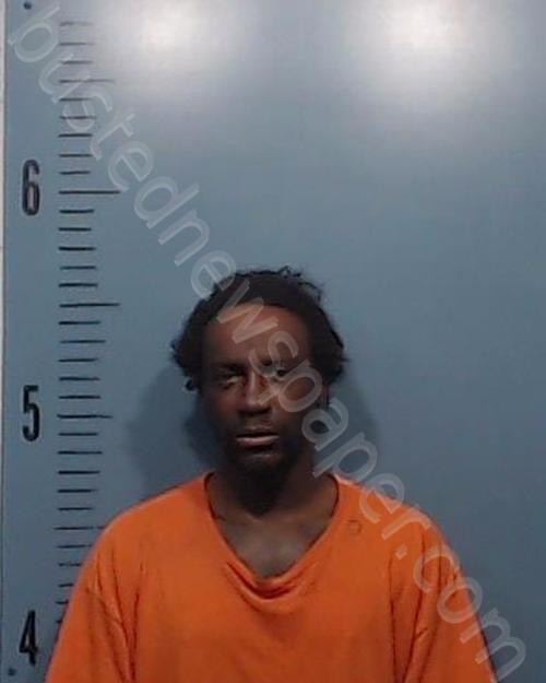 SANCHEZ, JERMANE SHARON #, Taylor County, Texas - 2025-01-28