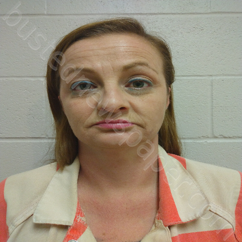 COPHER, AMBER NICOLE BERGMAN #, Brown County, Texas - 2025-01-29 11:41:00