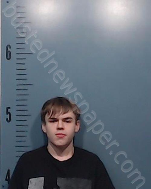 WHITAKER, JOSEPH WILLIAM #, Taylor County, Texas - 2025-01-29