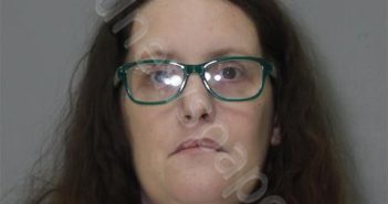 WILLIS, MICHELLE | 2025-01-30 Riverside Regional Jail, Virginia Booking
