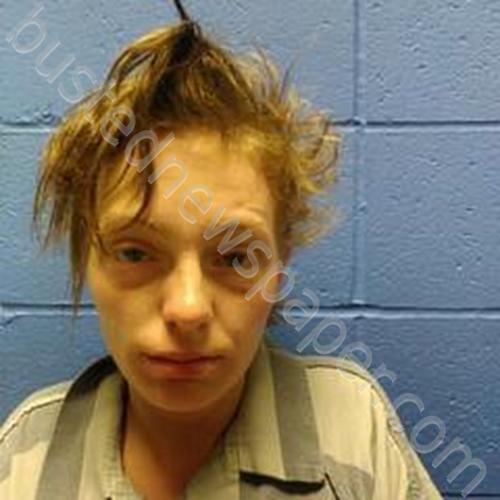 AMBER NICOLE DUNN #, Faulkner County, Arkansas - 2025-01-30 15:32:00