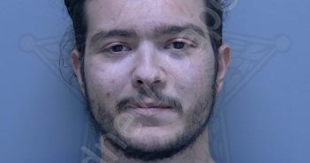 SIMOES DA <B>SILVA</B>, GABRIEL <B>ROBERTO</B> #, Lee County, Florida - 2025-01-30 22:06:00