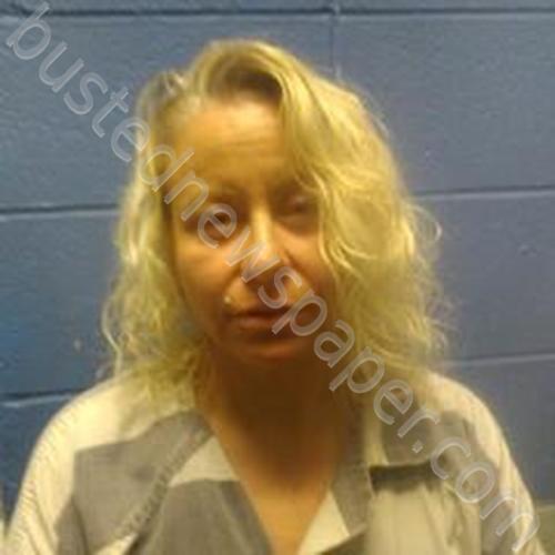 ALICIA ANN WILLARD #, Faulkner County, Arkansas - 2025-01-30 17:10:00