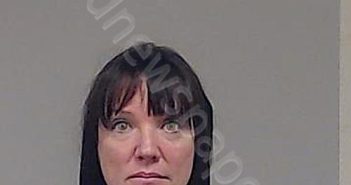 TAYLOR, DANIELLE | 2025-01-31 10:41:00 Collin County, Texas Booking