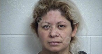 LAGUNAS ROMERO, NORMA ANGELICA | 2025-01-31 Chase County, Kansas Booking