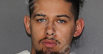 ALVAREZ, OMAR ISAIAH, JR | 2025-01-31 19:32:40 Ellis County, Texas Booking
