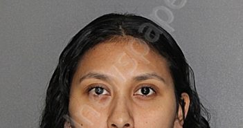 NAVARRO SANCHEZ, CHRISTINA | 2025-01-31 15:10:38 Ellis County, Texas Booking