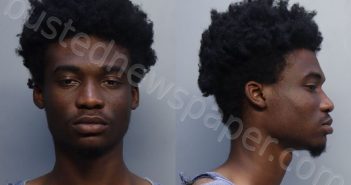 STHILAIRE, RASHAD | 2025-01-31 20:12:00 Miami-Dade County, Florida Booking