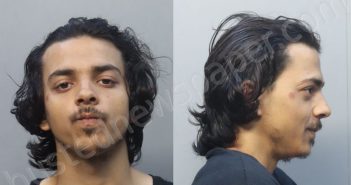 TORRES, CHRISTOPHER | 2025-01-31 13:27:00 Miami-Dade County, Florida Booking