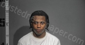 ALSTON, SEAN MELVYN | 2025-01-31 19:13:00 Western Tidewater, Virginia Booking