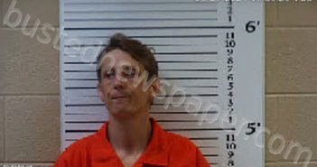 OWNBY, ANDREW CARTER | 2025-02-01 12:16:00 Cherokee County, North Carolina Booking