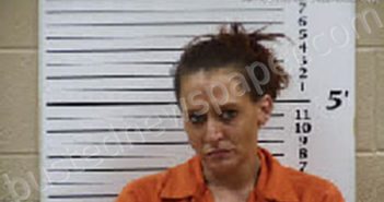 COLLINS, KRISTI MICHELLE | 2025-02-01 16:20:00 Cherokee County, North Carolina Booking