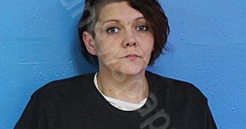 SCHOEN, MARIE LYNN | 2025-02-02 22:32:51 Sullivan County, Tennessee Booking
