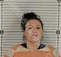JOHNSON, <B>SAMANTHA</B> <B>JEAN</B> #, <b>Williams</b> County, North Dakota, Williams County, North Dakota - 2025-02-03