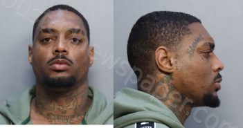 RILEY, <B>ANDREW</B> DEMETRIUS #, Miami-Dade County, Florida - 2025-02-03 19:50:00