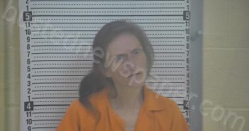 MIKEL, MAZIE BERNICE | 2025-02-03 08:09:00 Taylor County, Kentucky Booking