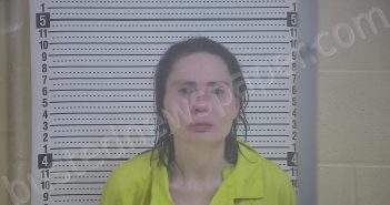 DESLONGCHAMPS, CRYSTAL | 2025-02-03 20:28:00 Taylor County, Kentucky Booking