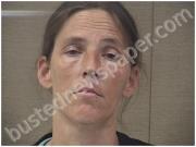 ELSIK, JACQUELINE | 2025-02-03 Harnett County, North Carolina Booking