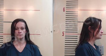 <B>GILLIPSIE</B>, <B>COURTNEY</B> <B>KAYLYN</B> #, Parker County, Texas - 2025-02-04