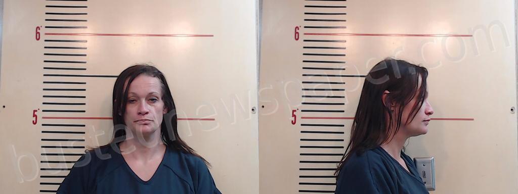 GILLIPSIE, COURTNEY KAYLYN #, Parker County, Texas - 2025-02-04