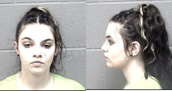 SHELTON, DANYELLE MARIE | 2025-02-04 14:27:00 Crawford County, Kansas Booking