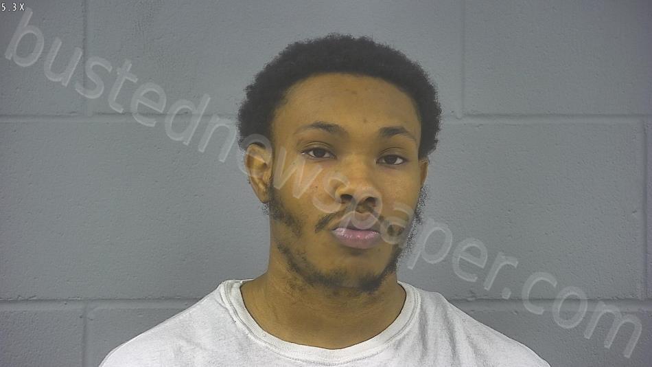 WILSON, CAILLIOU ALEXANDER DEQUINCY #, Hancock County, Indiana - 2025-02-04 12:10:00