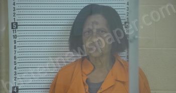 COBB, GRETCHEN G | 2025-02-04 10:22:00 Taylor County, Kentucky Booking