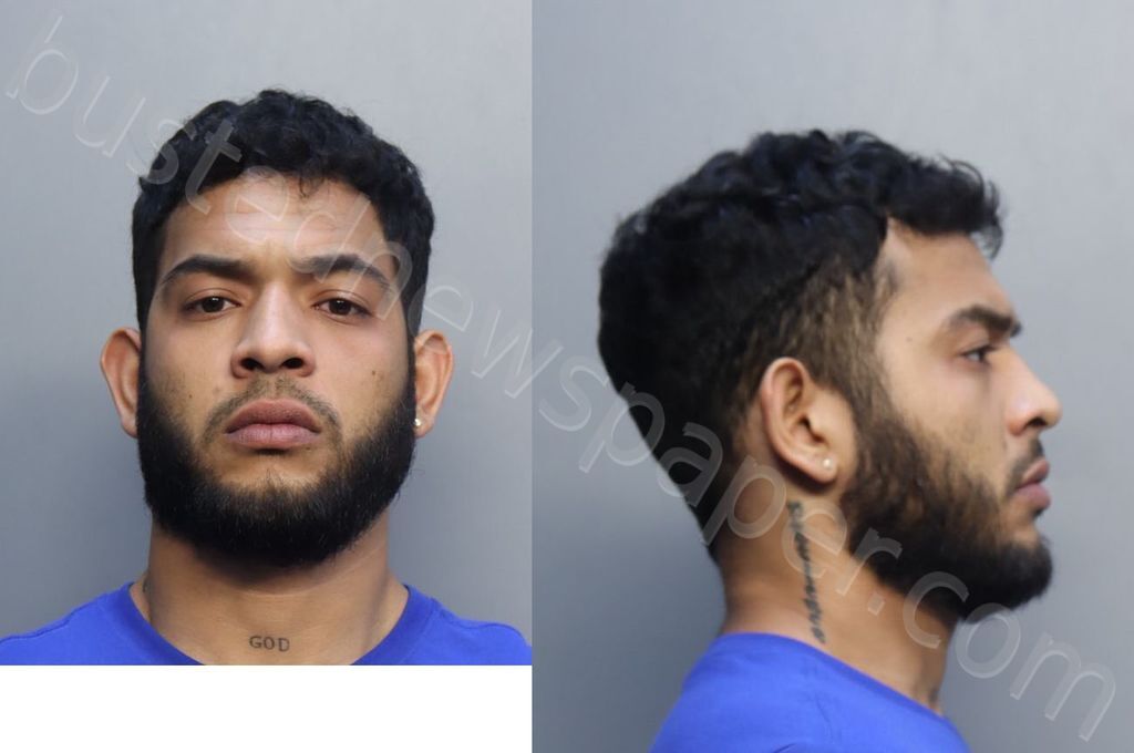 CASTELLANOALEJANDRIA, JORMAN ORLANDO #, Miami-Dade County, Florida - 2025-02-04 04:56:00