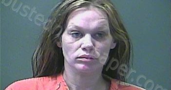 <B>BEALOR</B>, <B>CARISSA</B> <B>ANN</B> #, Laporte County, Indiana, La Porte County, Indiana - 2025-02-04 22:35:00