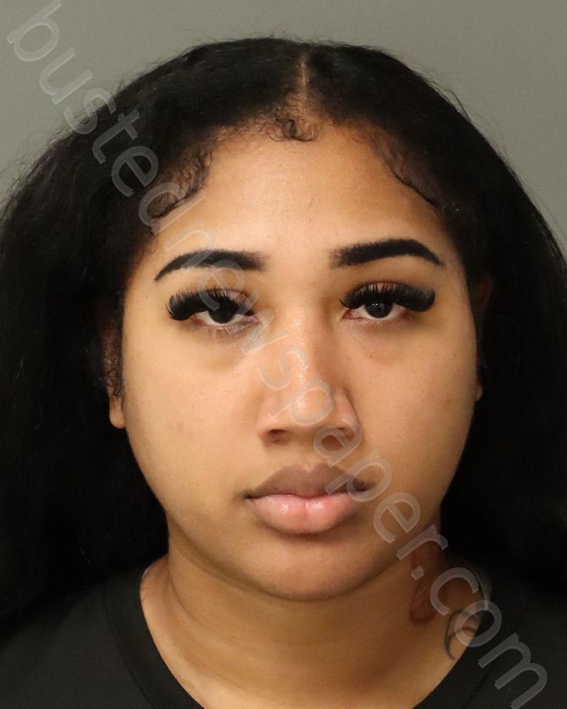 DEWBERRY, RENELLE DELORSE #, Wake County, North Carolina - 2025-02-05 20:45:00
