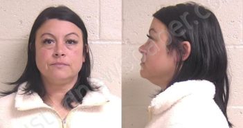 WALLACE, BRANDY | 2025-02-05 01:00:00 Madison County, Illinois Booking