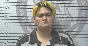 <B>PENDLEY</B>, <B>HAYLEY</B> <B>DARLENE</B> #, Harrison County, Mississippi - 2025-02-05 18:04:00